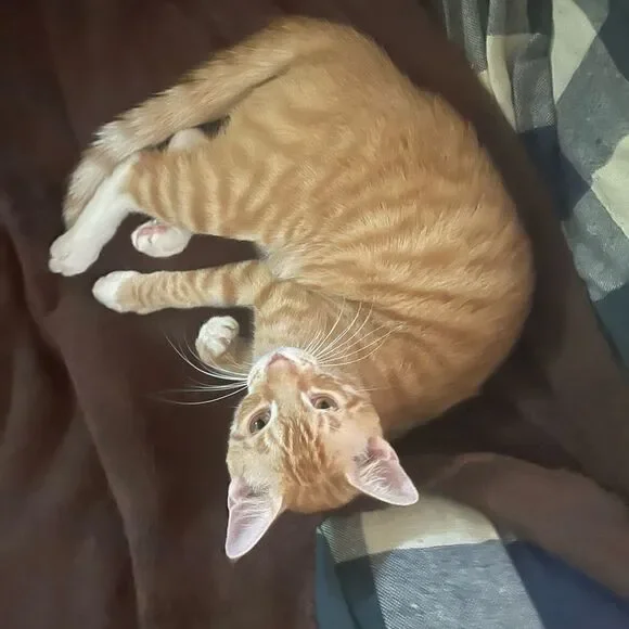 Help me reach 700k I’m at 620k - Picture 6 of 7